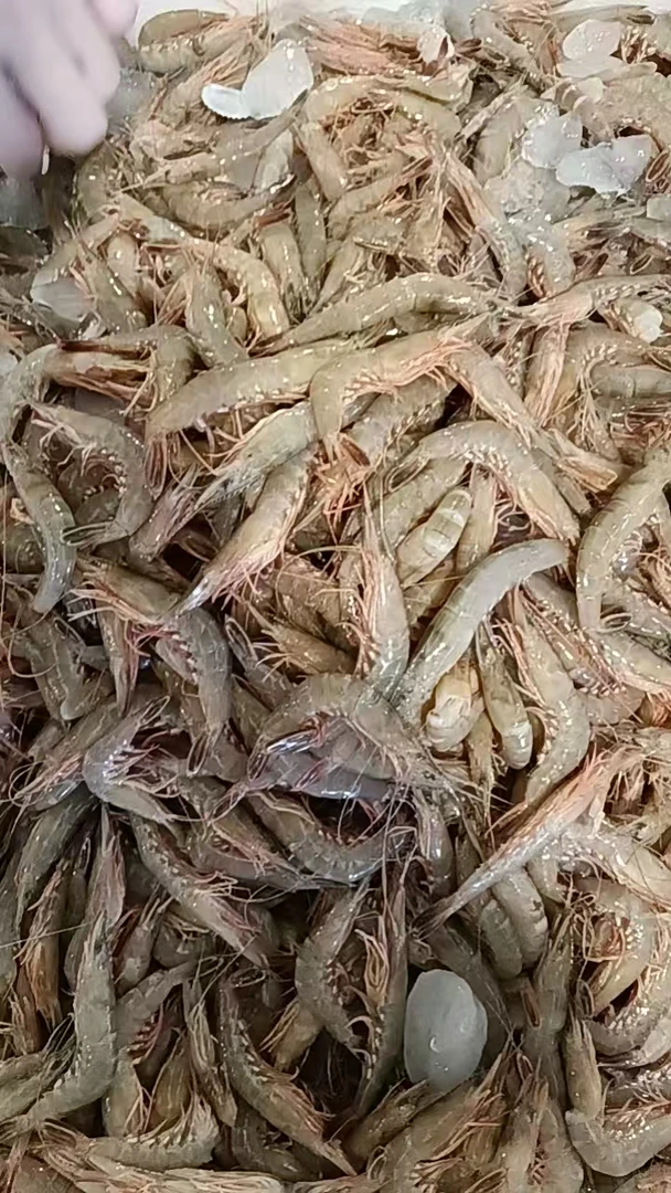 本地滑皮虾味道鲜美5斤装