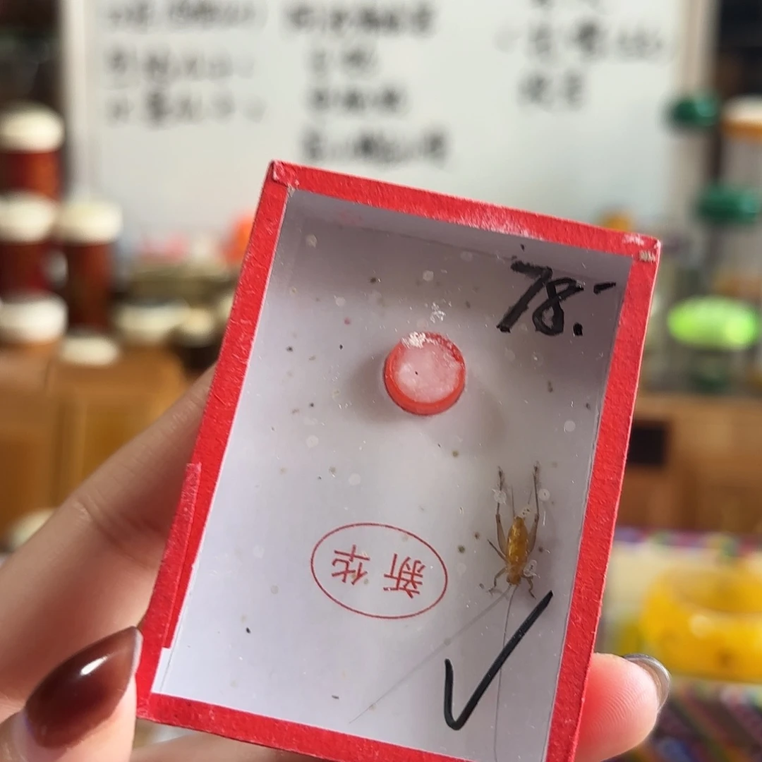 断须新华一条 不包断须尾