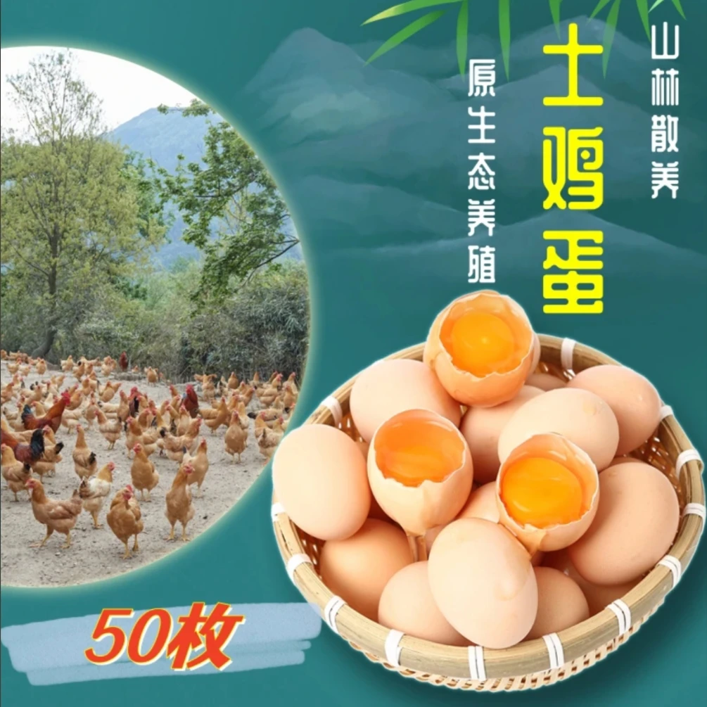 【50枚】产自崂山新鲜放养土鸡蛋粉壳鸡蛋50枚 顺丰包邮 破损包赔