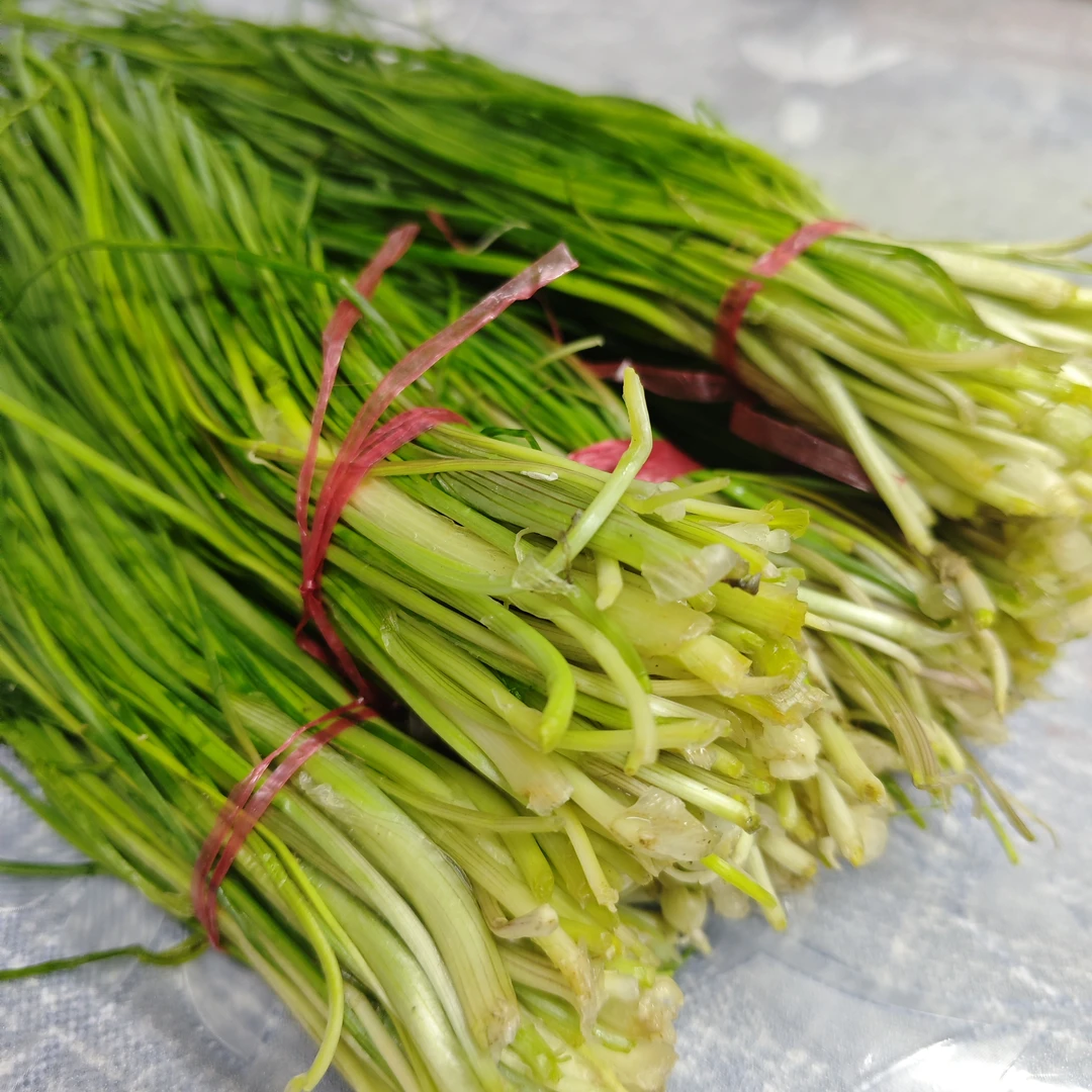 【顺丰包邮】 四把毛葱四个鸡蛋 江西永新纯天然家乡的味道春季野菜