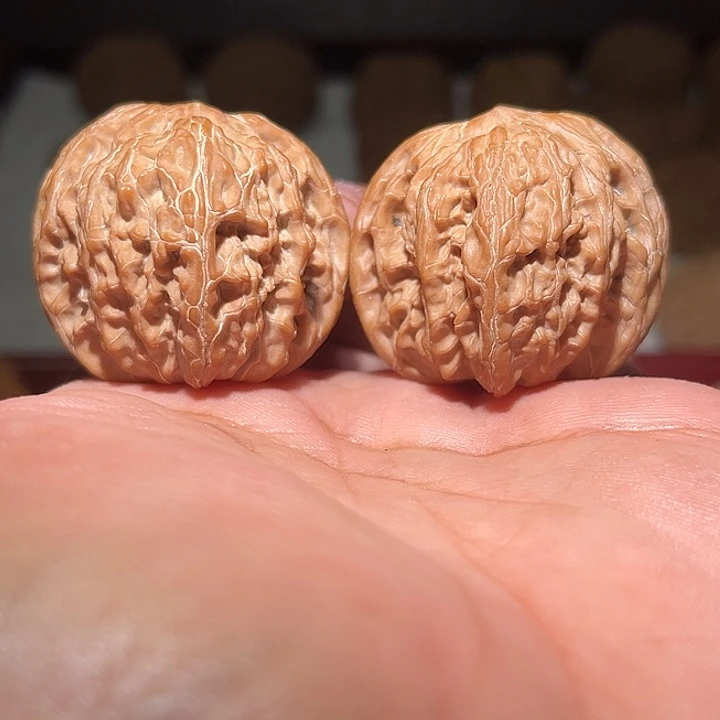 木39山地磨盘。