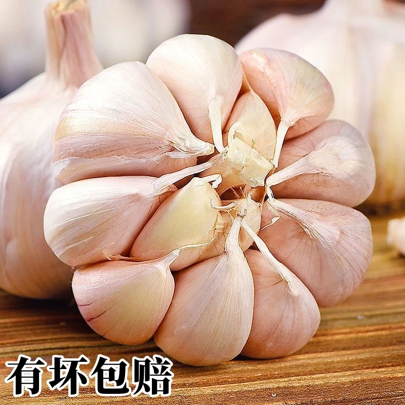 【干大蒜】新干蒜农家大蒜头干大蒜大个头紫白皮十足干蒜0.5-5斤