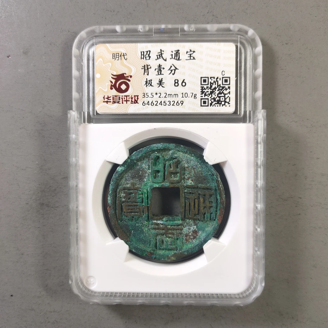 90113-21 昭武通宝背壹分