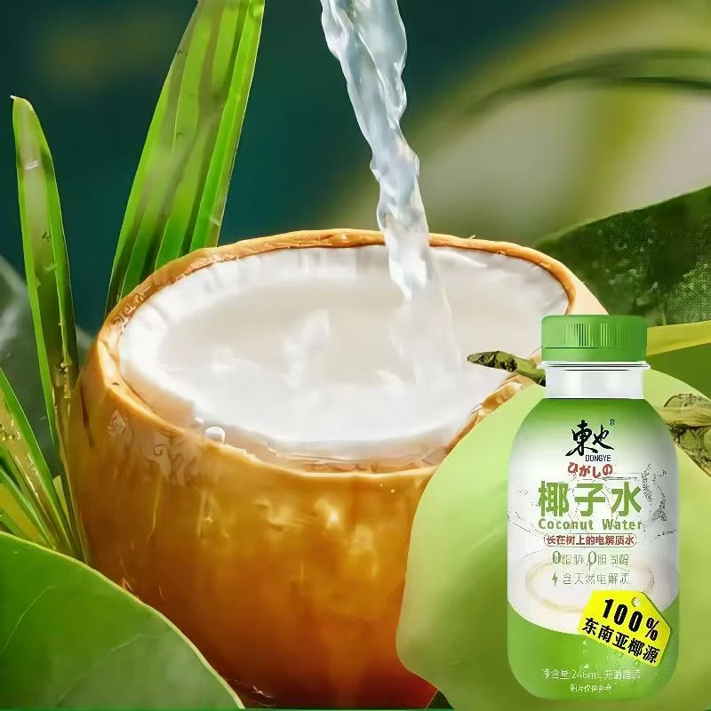 100%椰子水电解质饮料果汁0添加