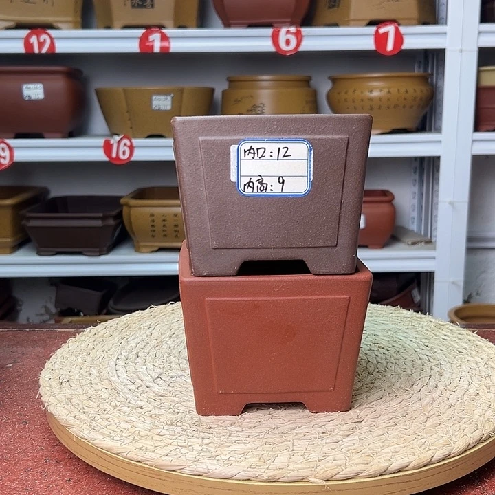 紫砂花盆蛇年大吉