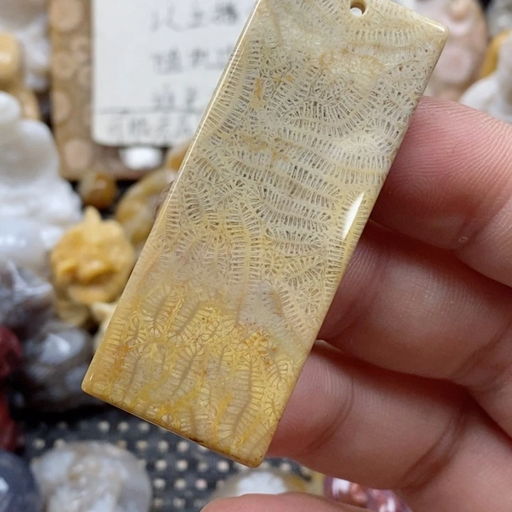 颈饰未镶嵌硅化珊瑚（珊瑚玉）私****君