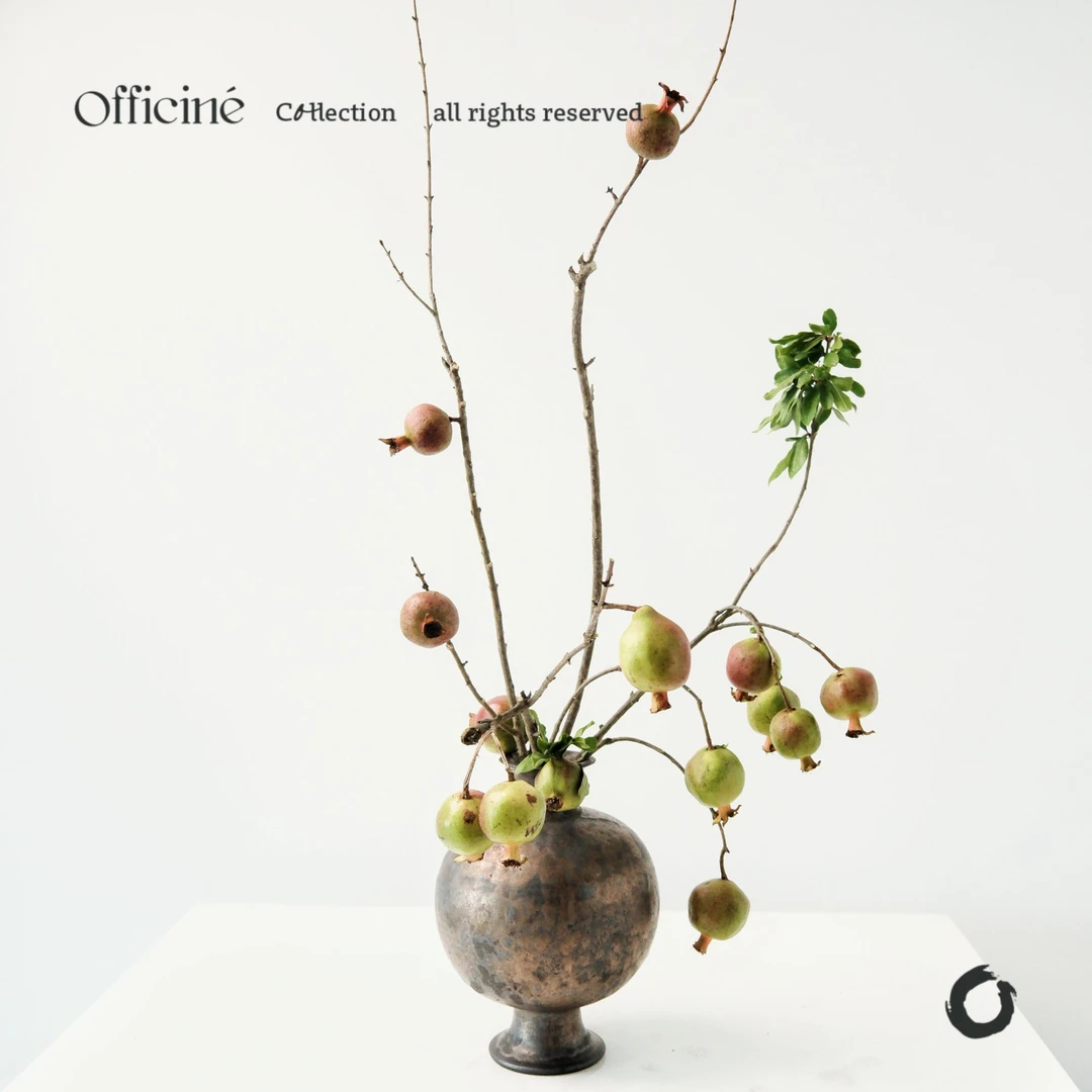 石榴 Officine美好花市基地直采鲜切花云南直发顺丰空运