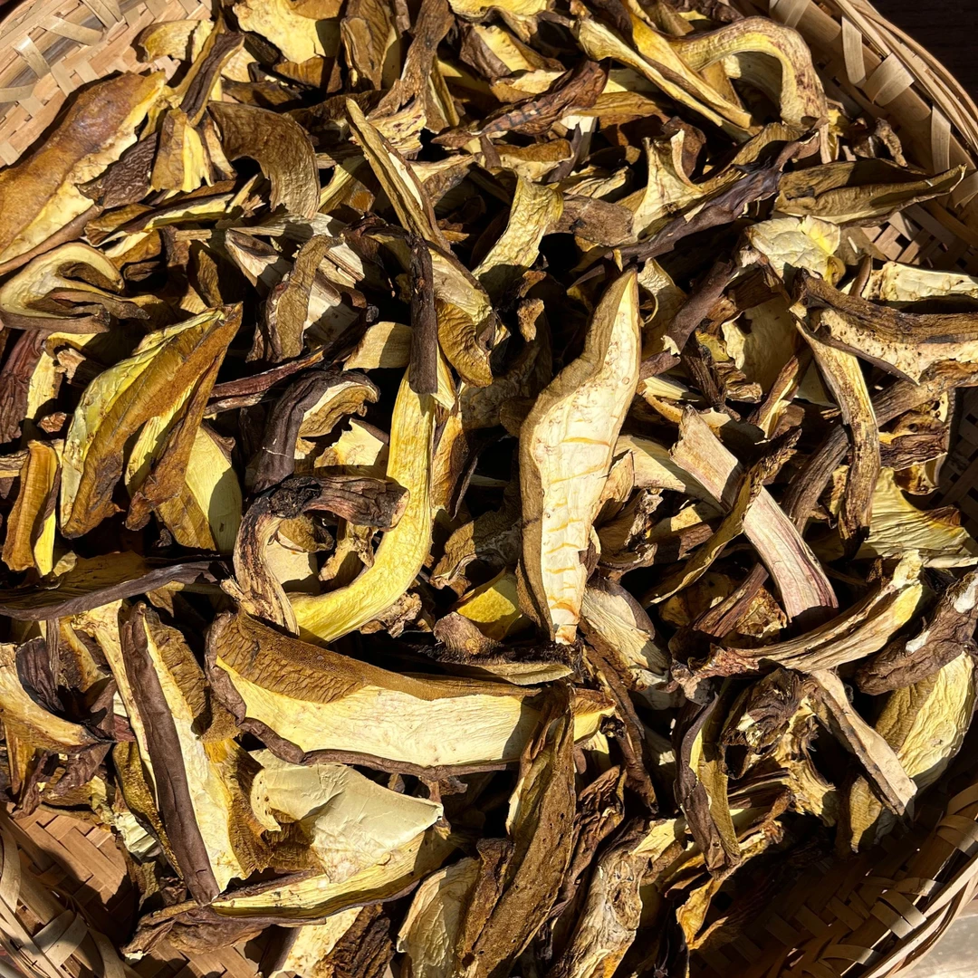 云南白葱牛肝菌清脆滑嫩葱香高煲汤爆炒煮熟食用云南野生菌