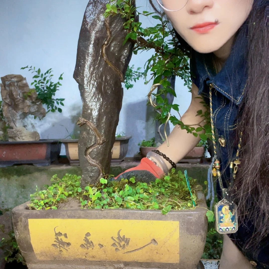 农***福无花朵直播间不见不散吗