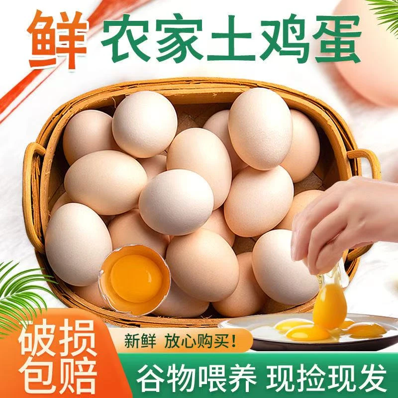 晨诚j散养土鸡蛋农家正宗土鸡蛋柴鸡蛋谷物蛋笨鸡蛋月子蛋