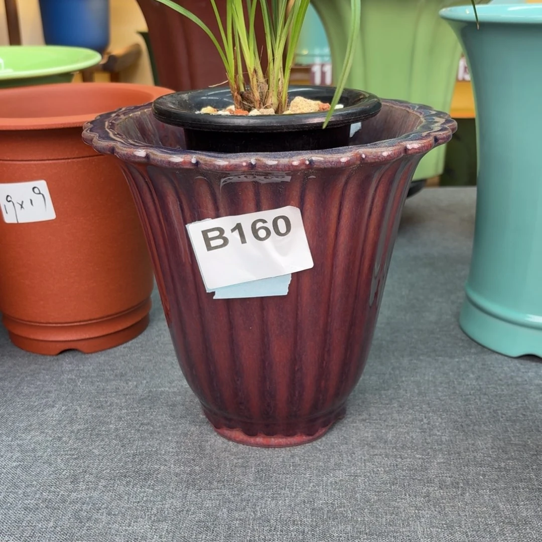 紫砂花盆兰花4558568568698