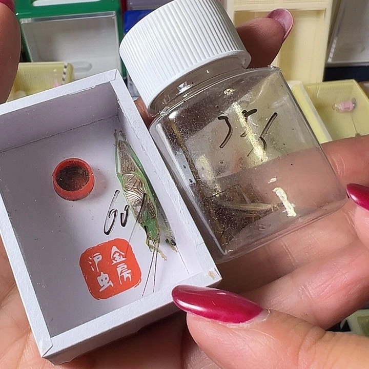 根***5蟋蟀哈哈哈哈哈哈哈哈哈哈哈