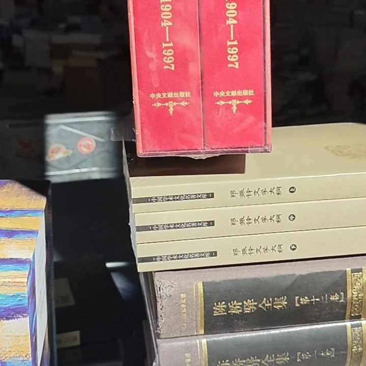 邓纪事两本一套库存书