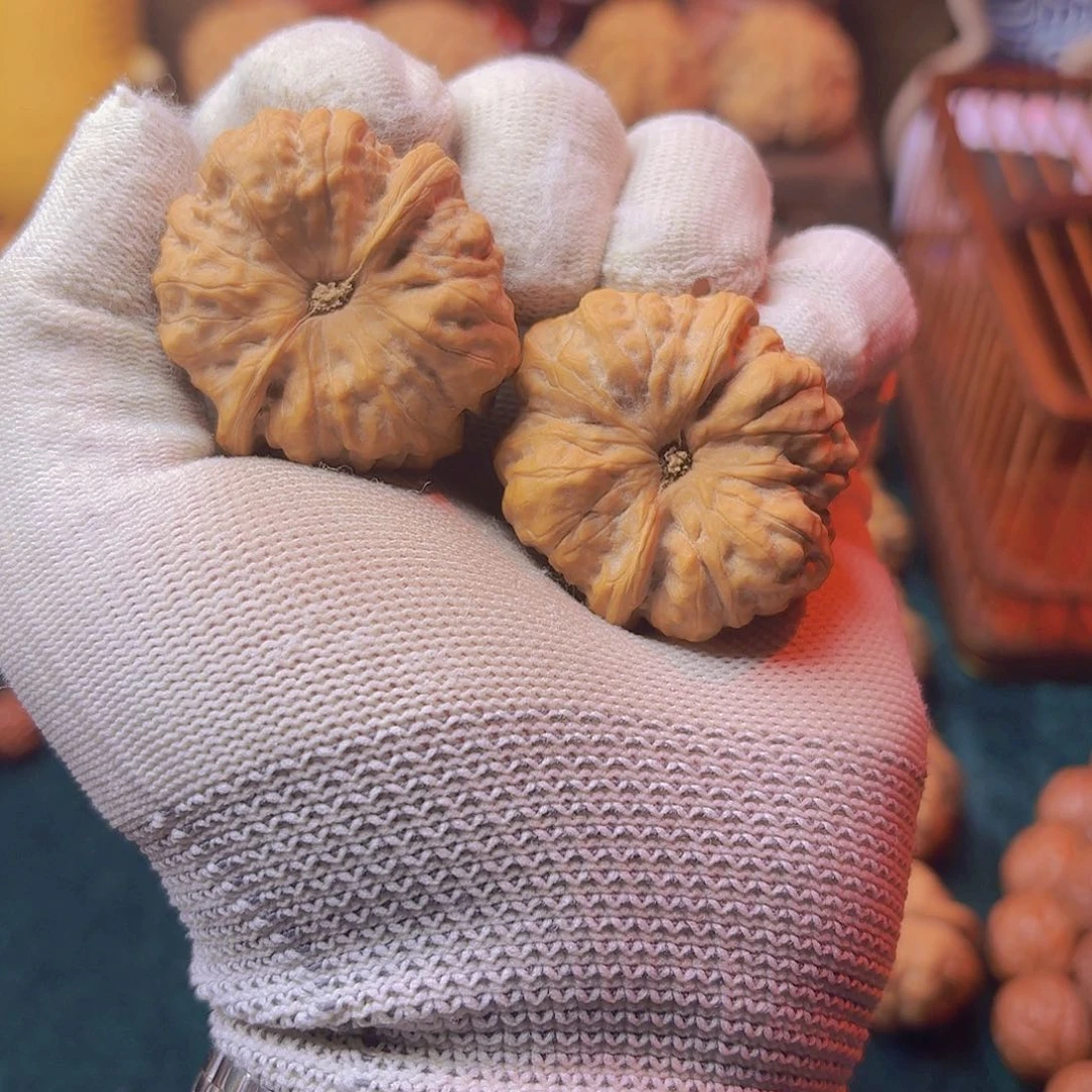 阿*蛤蟆头全品无修，蜡红皮