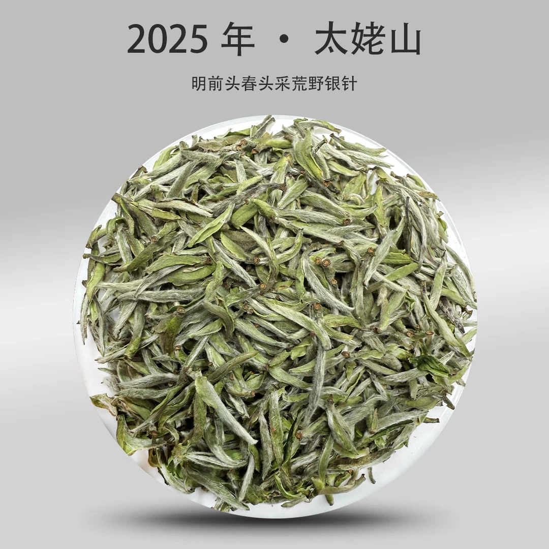 太姥山明前春茶福鼎核心产区2025年 ·头采荒野白毫银针500g