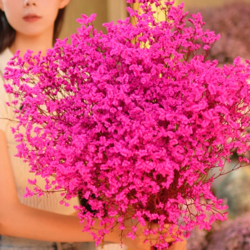 【买一扎送一扎】玫红色永生水晶花长花期氛围鲜切花好养护干花