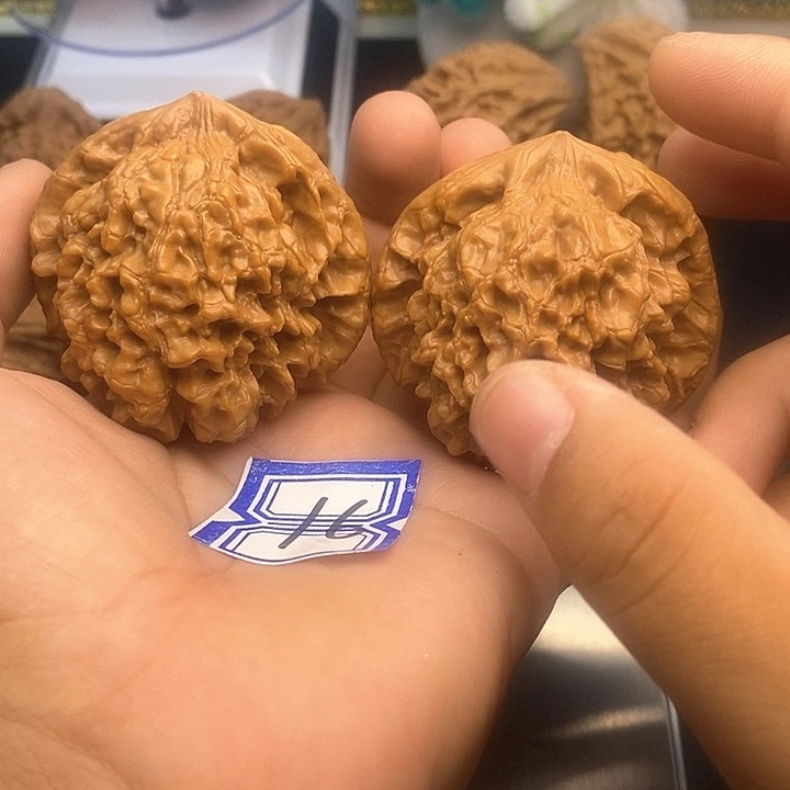 把件文玩核桃51龙鼎