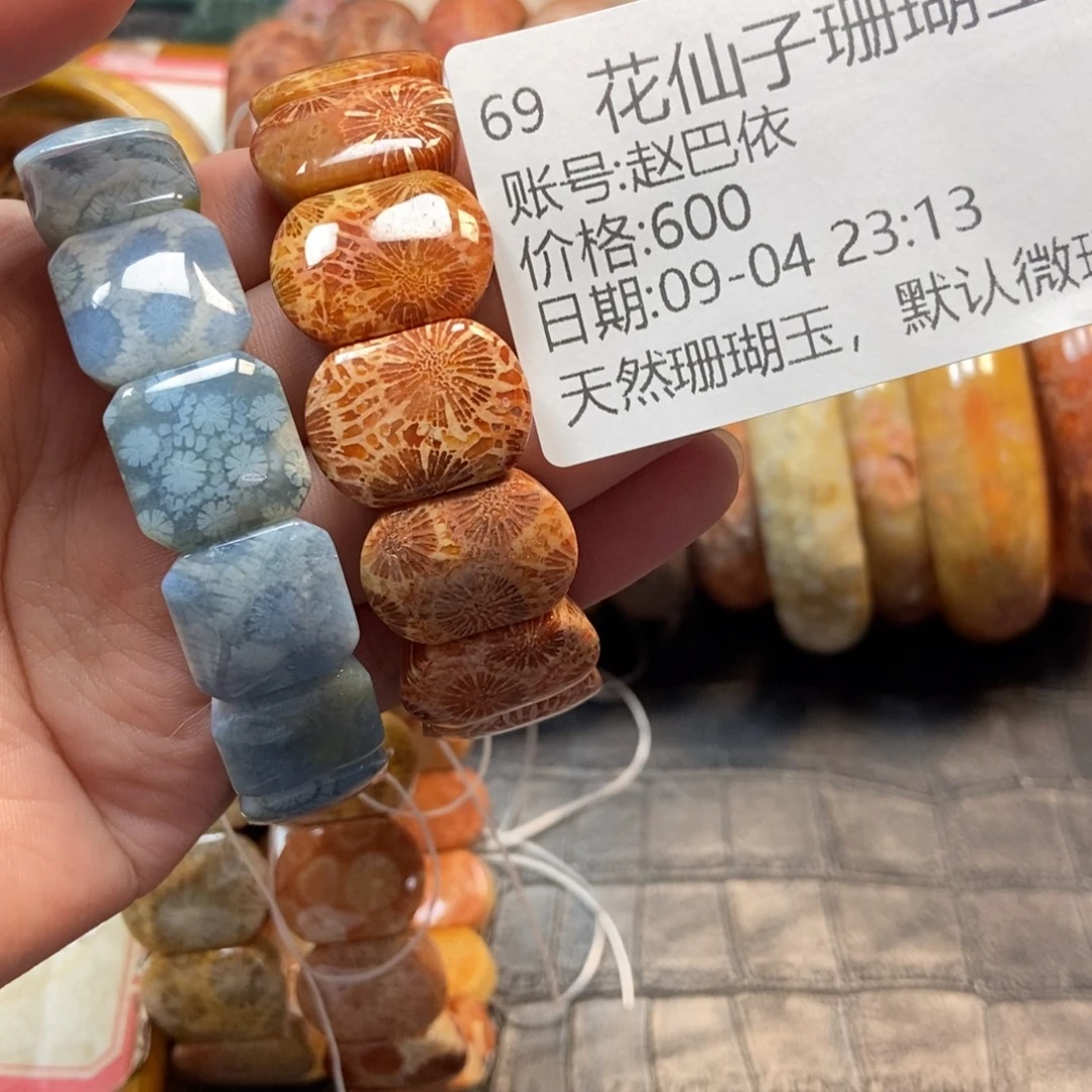 赵***依未镶嵌硅化珊瑚（珊瑚玉）珠宝半成品69