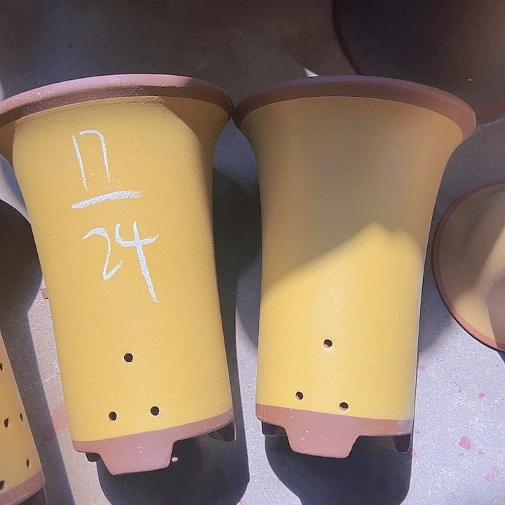 真实真实真实真实学生