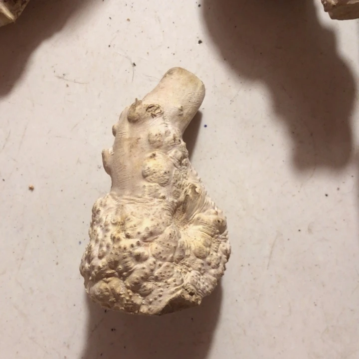 李****木木料木料木料木料