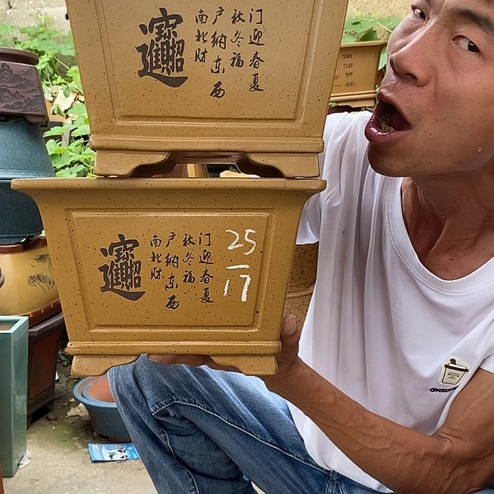 紫砂花盆在一起的时候就会觉得