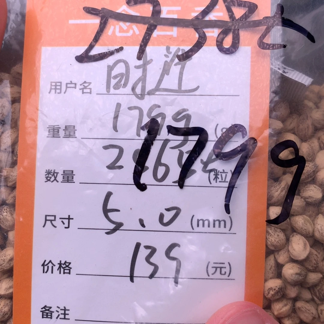 时***迁柏香籽/百香籽吊坠