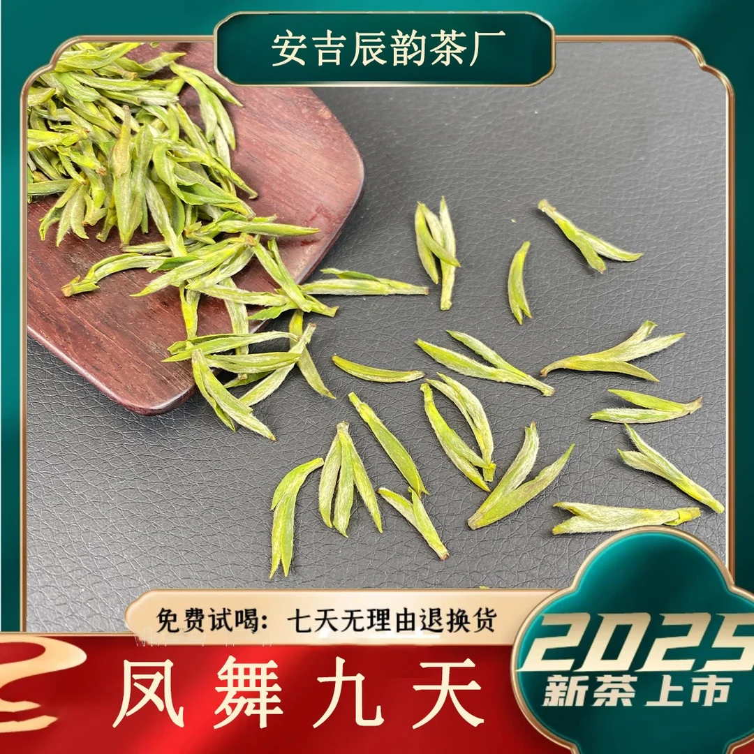 【凤舞九天-A16】2025头春头采新茶 安吉 高山珍惜白茶  茶礼