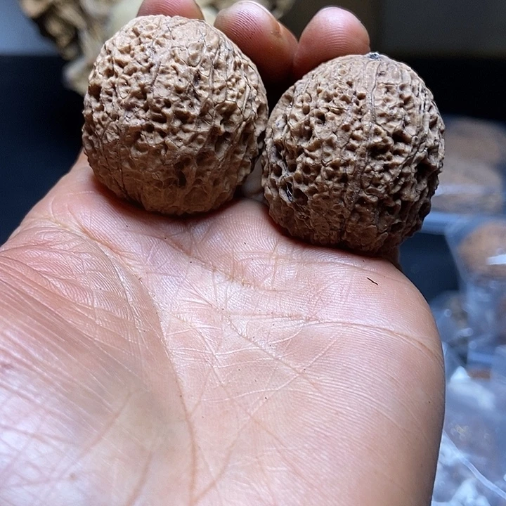 把件文玩核桃云南铁核桃基地54