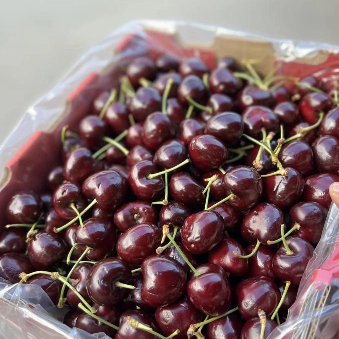 【老沙严选】铁塔2JD 智利海运桑缇娜车厘子5斤内附果径卡