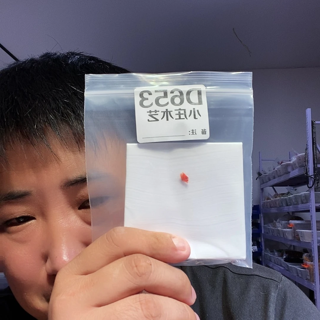 【闪购商品】纯铜石英石萬****宗百搭653