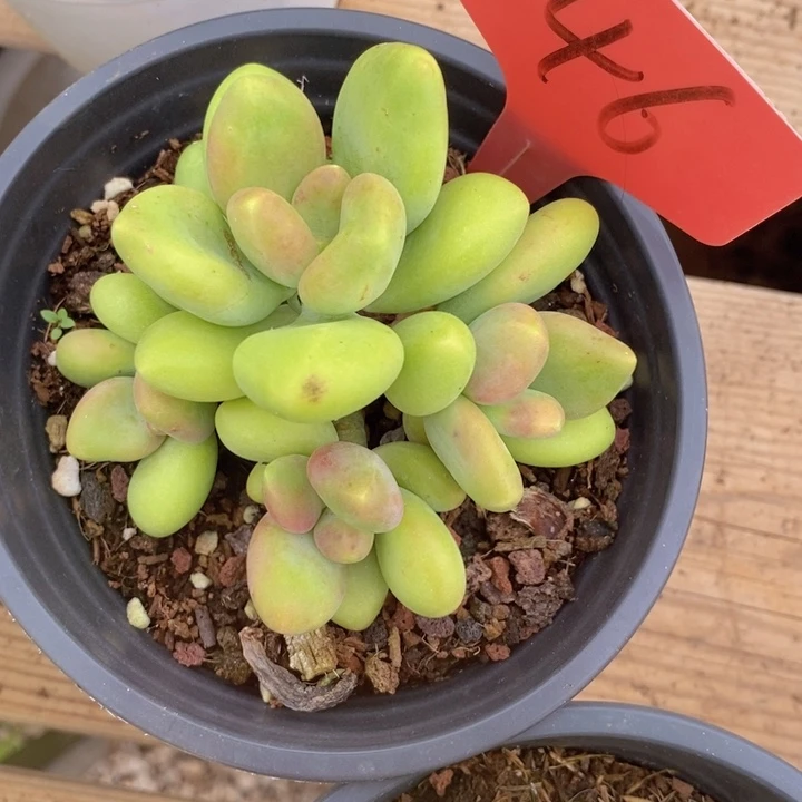 你说了就没办法做到你