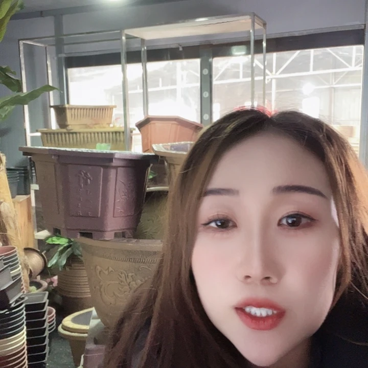 八角紫砂色一个50