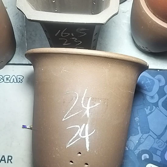 特大金钟一个花盆