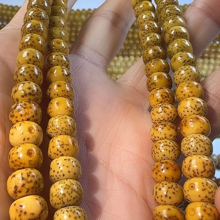 老脱脂星月菩提120