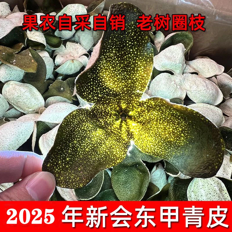 2025正宗新会东甲圈枝中青皮高香油室透亮柑油丰富原产地直发