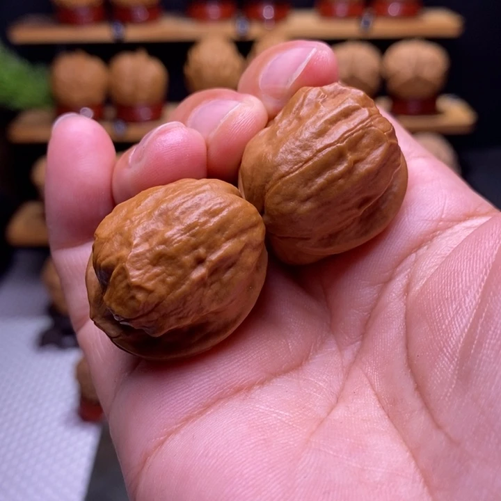 核桃云铁甲壳虫46号