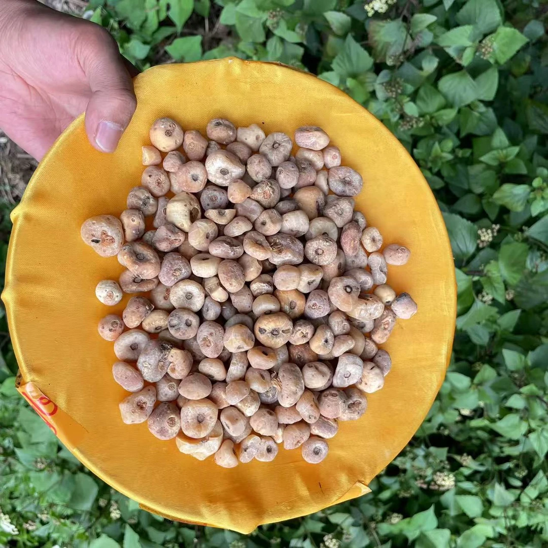1【玉-皇-丹】净含量150g-500g【阿虎现收】粮