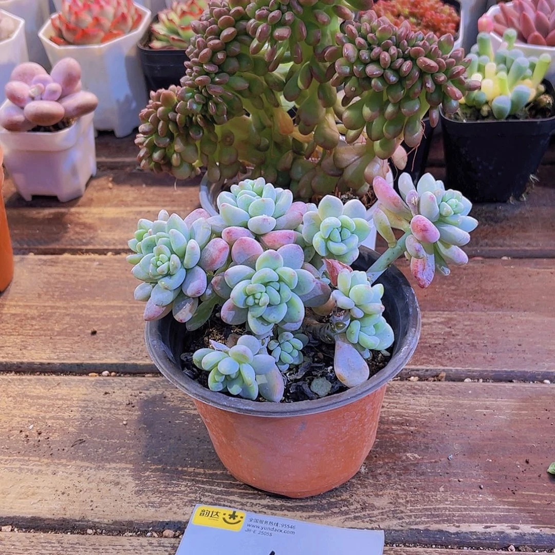 一物一拍0109福利套餐