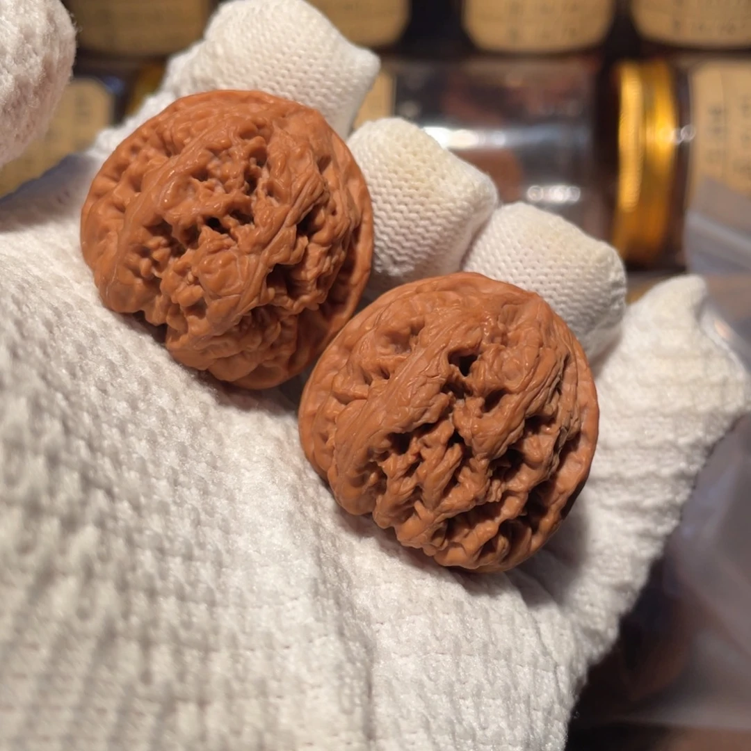 核桃35粗筋jjjjjj