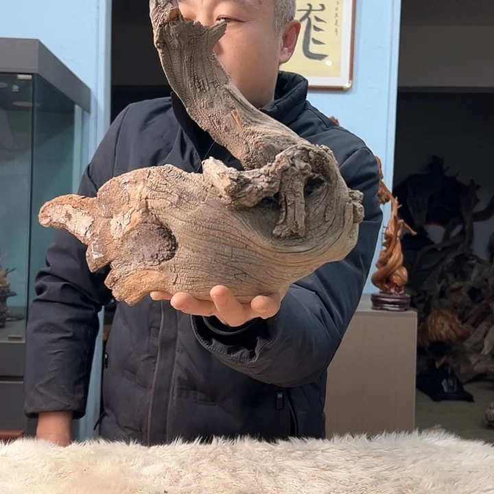 柏木鸿*我们的生活是以自己