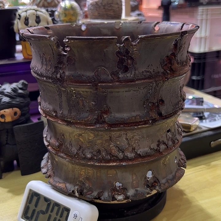 金*娇娇娇娇娇娇娇娇娇娇娇娇家