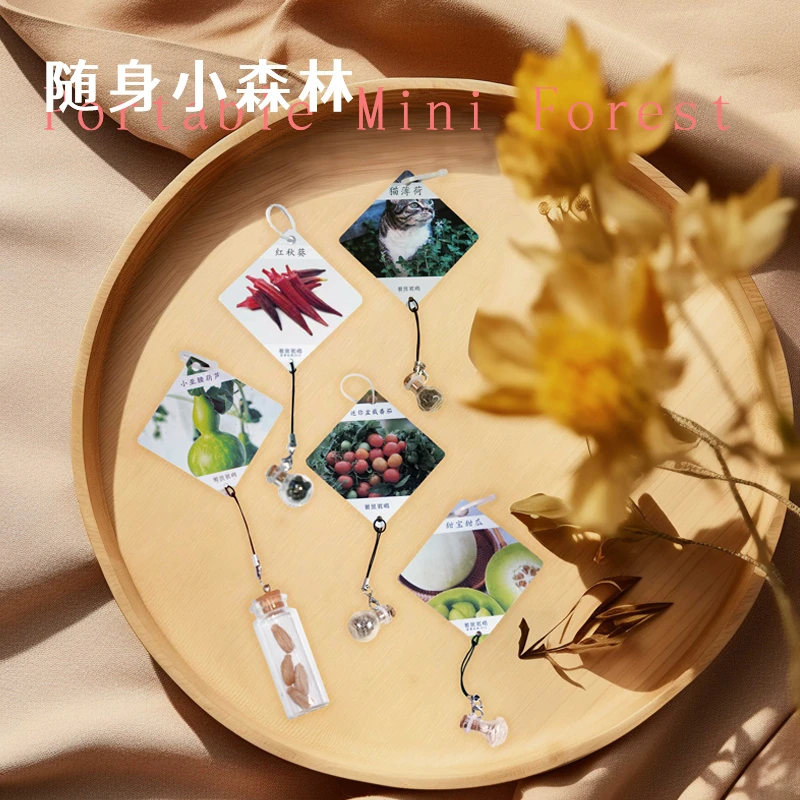 天然植物吊坠种子 随身小森林 治愈系文艺挂饰 可发芽纪念礼物