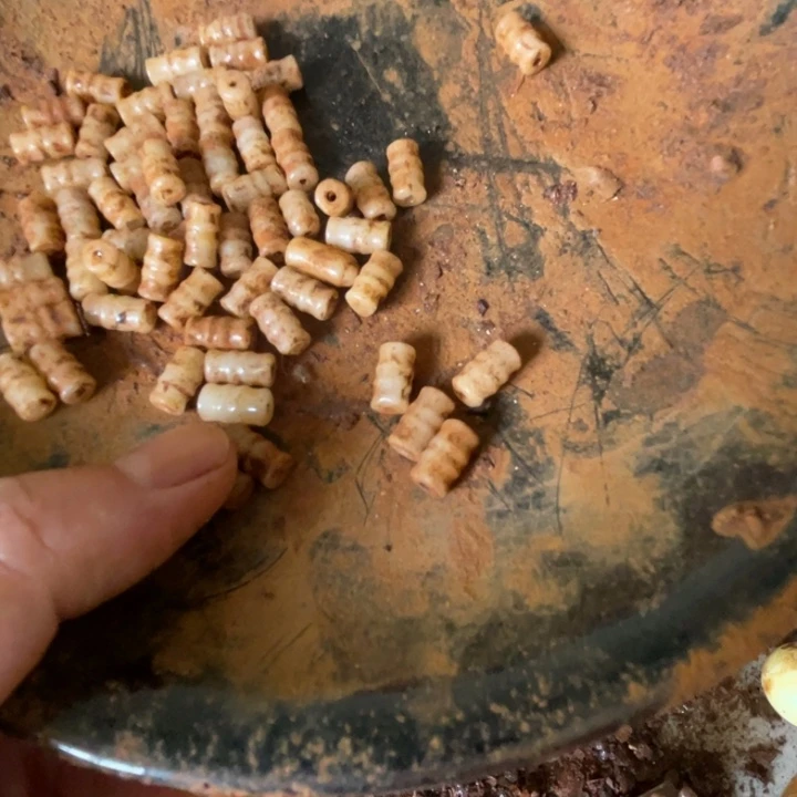 龍***～瓷器瓷器瓷器瓷器瓷器瓷器瓷器瓷器