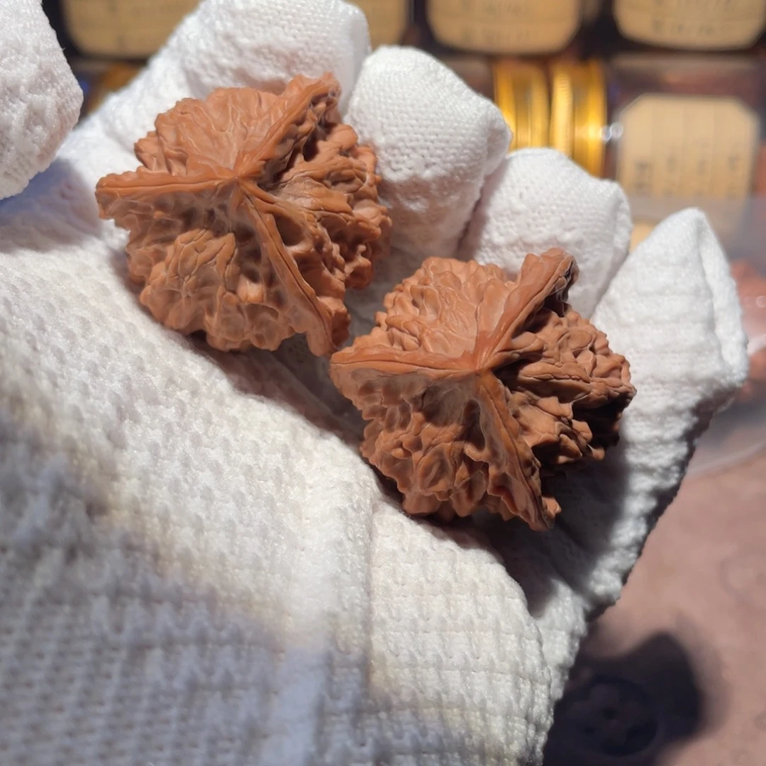 核桃40奔bbbbbbbbb