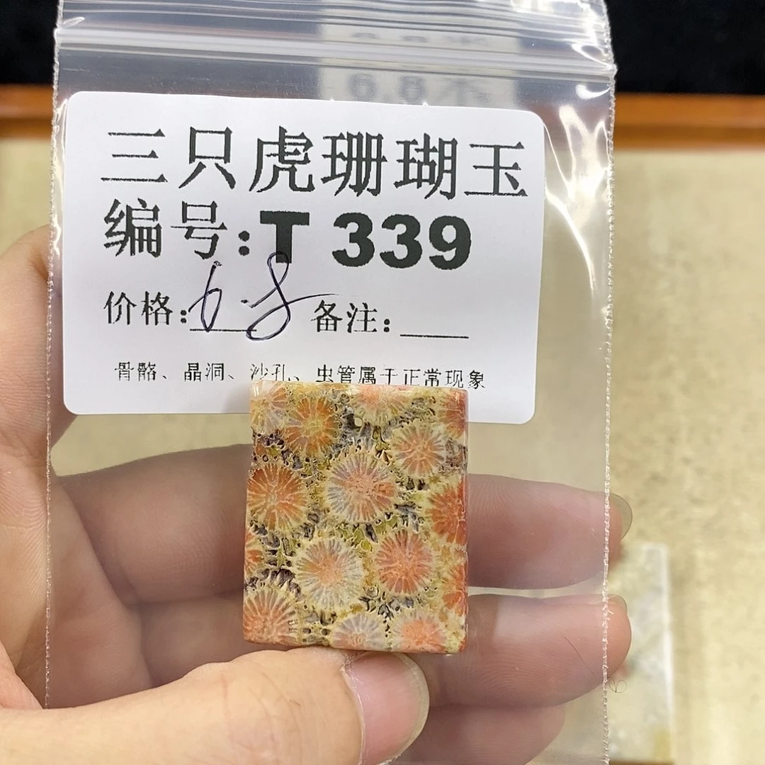 硅化珊瑚（珊瑚玉）1未镶嵌眼***推