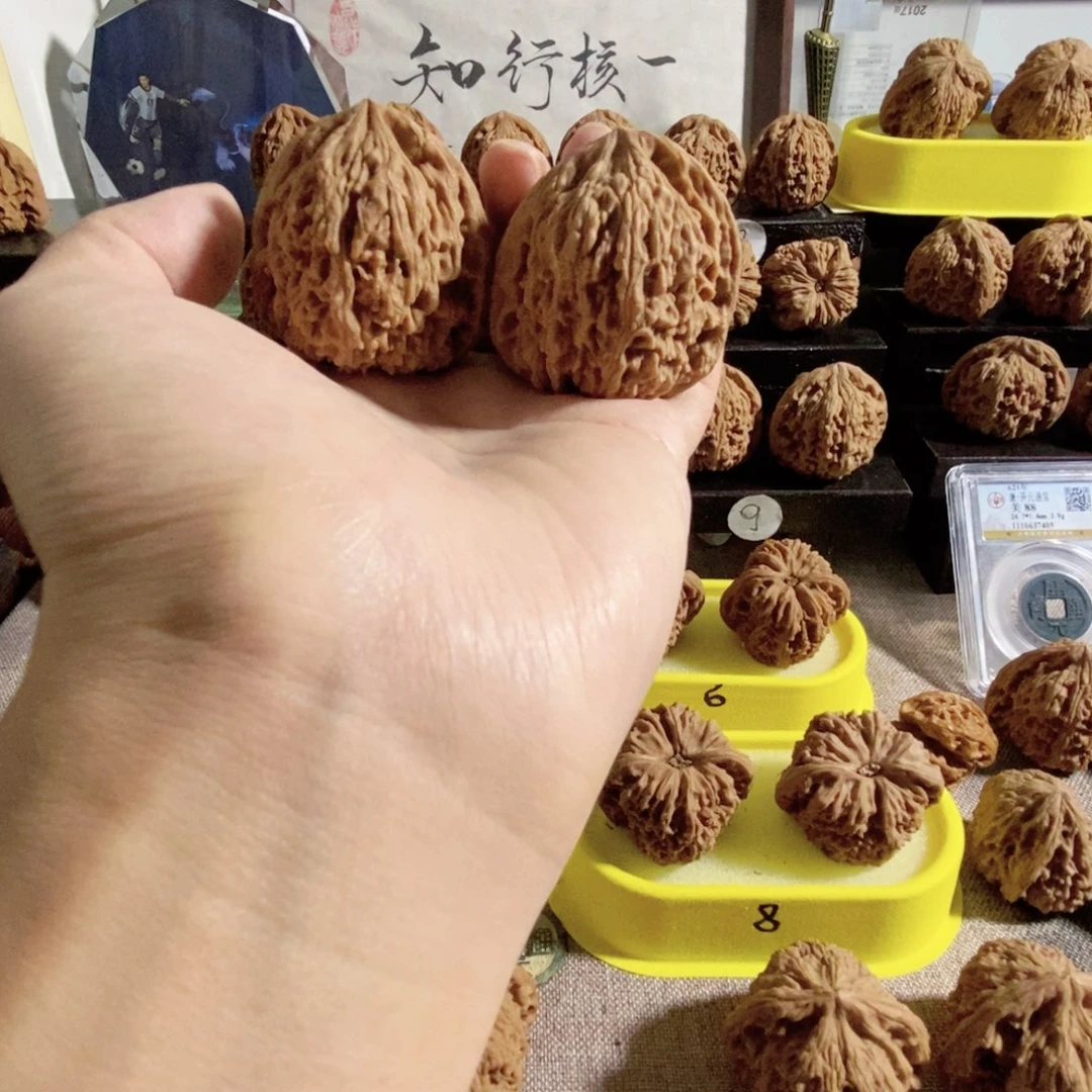 木质类奥迪溜肩岸