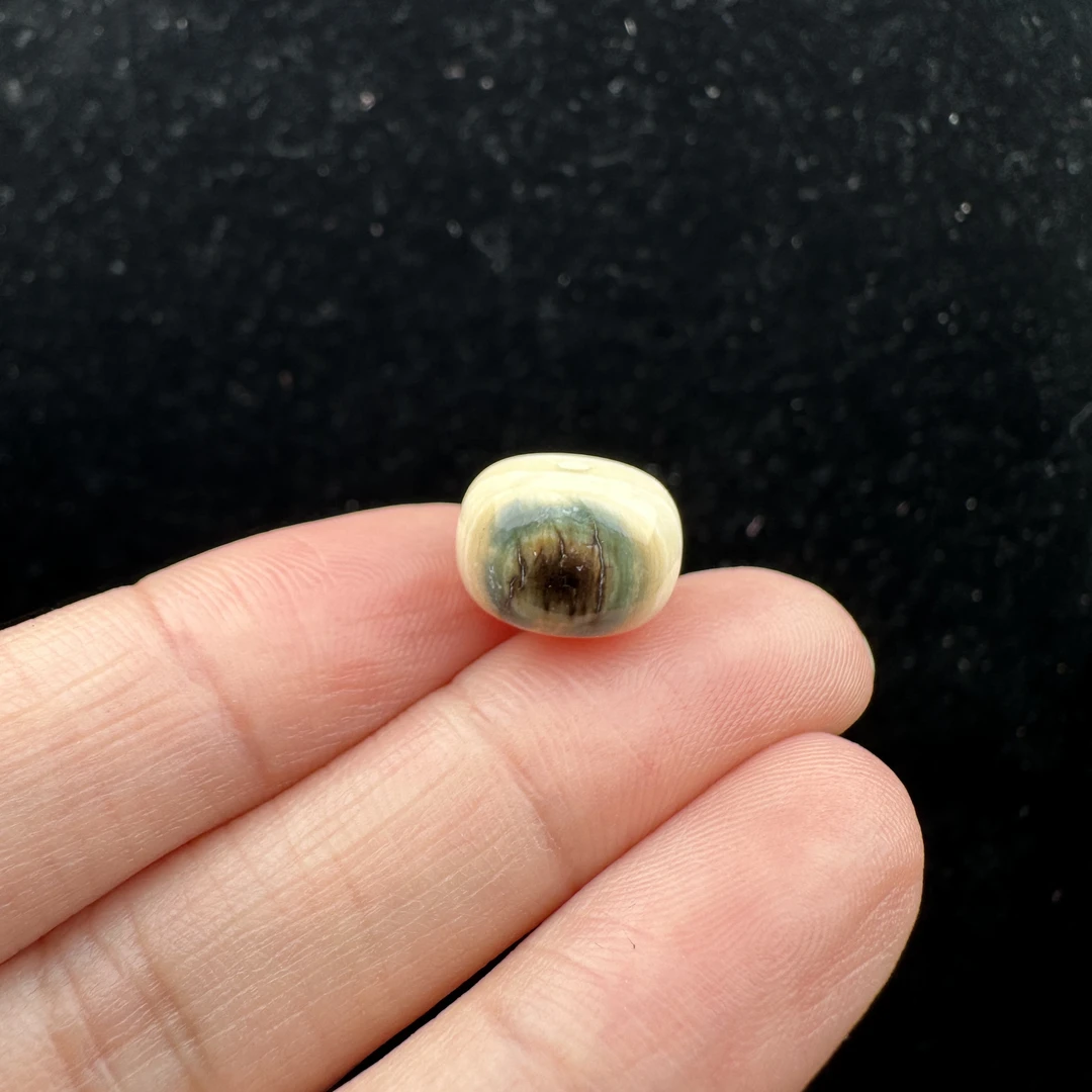 D8640天然猛犸牙 蓝眼睛单珠12.2*8.6mm支持鉴定 假一罚四