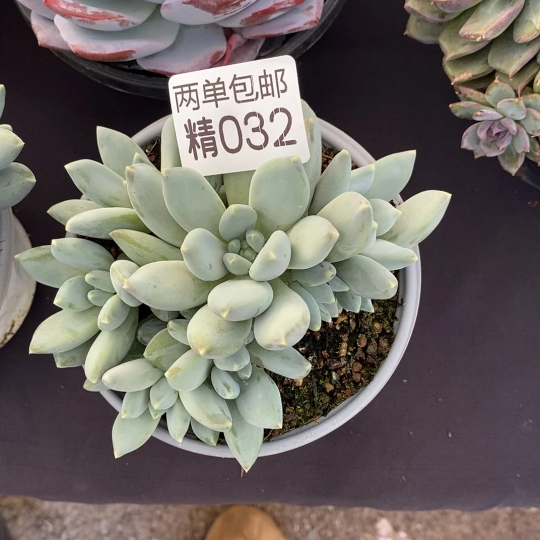 哈哈哈哈哈哈哈哈032