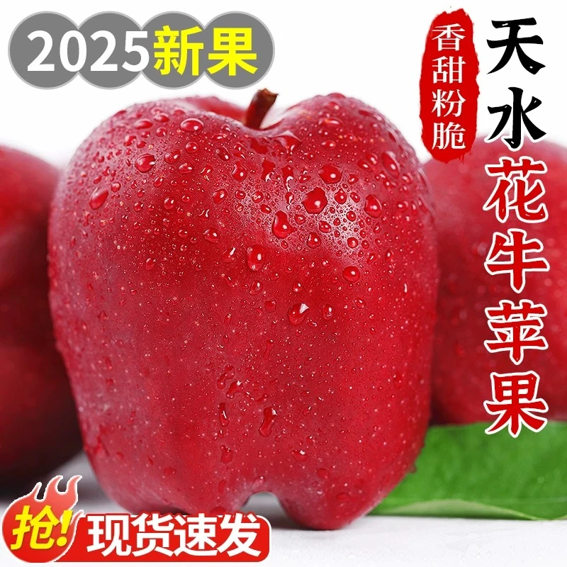 【粉面香甜】甘肃天水花牛苹果新鲜水果当季正宗平果红蛇粉面丑果