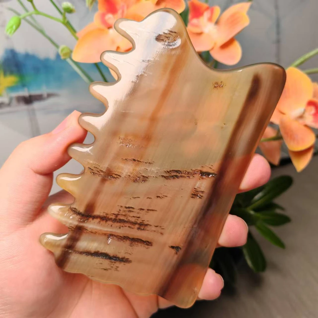 板娘专享  白水牛角角皮身体刮按摩大板-008